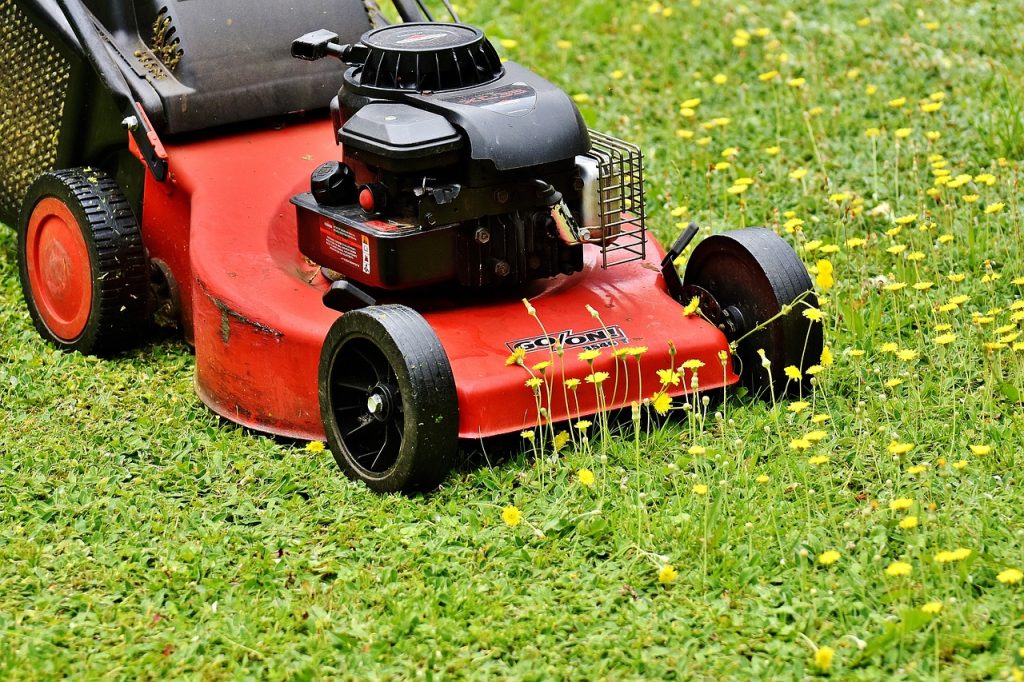 lawn mower, mow, cut the lawn-2408925.jpg